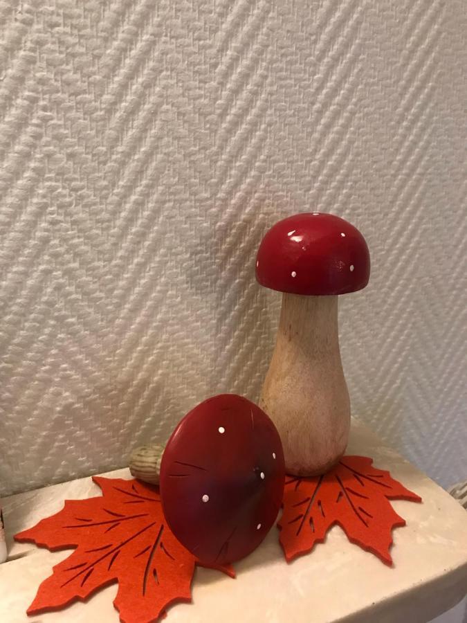 Appartement Chez Fabie Sélestat Dış mekan fotoğraf