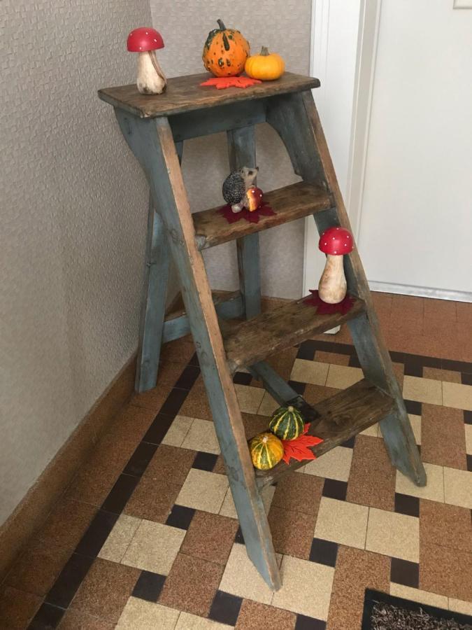 Appartement Chez Fabie Sélestat Dış mekan fotoğraf