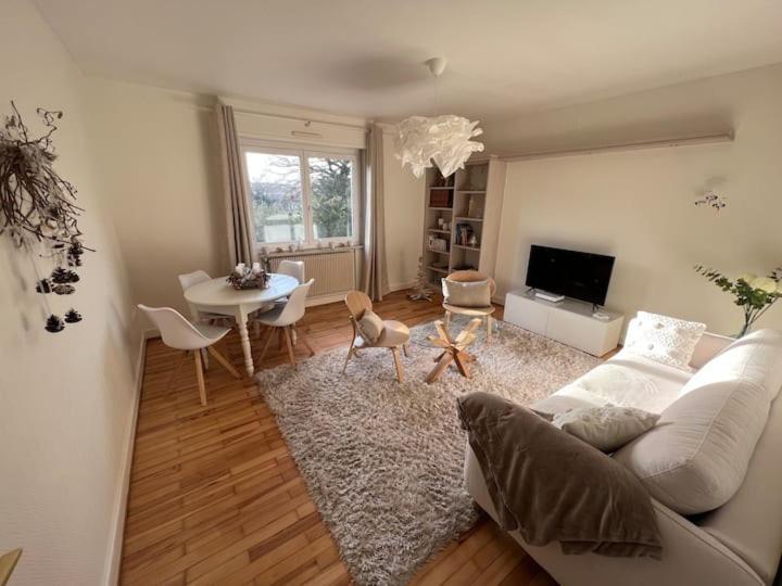 Appartement Chez Fabie Sélestat Dış mekan fotoğraf