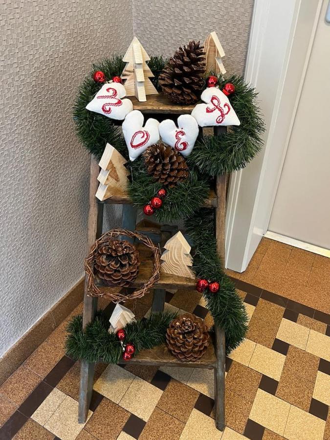 Appartement Chez Fabie Sélestat Dış mekan fotoğraf