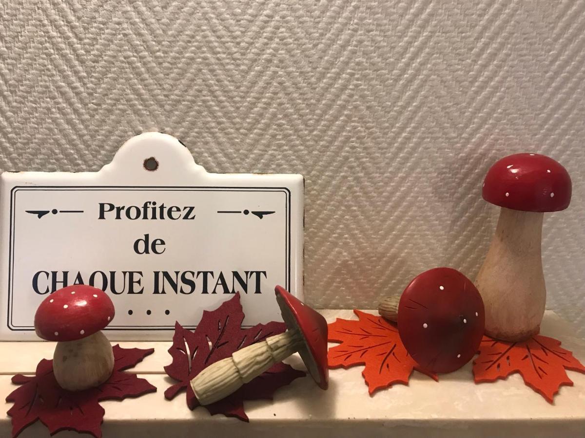 Appartement Chez Fabie Sélestat Dış mekan fotoğraf