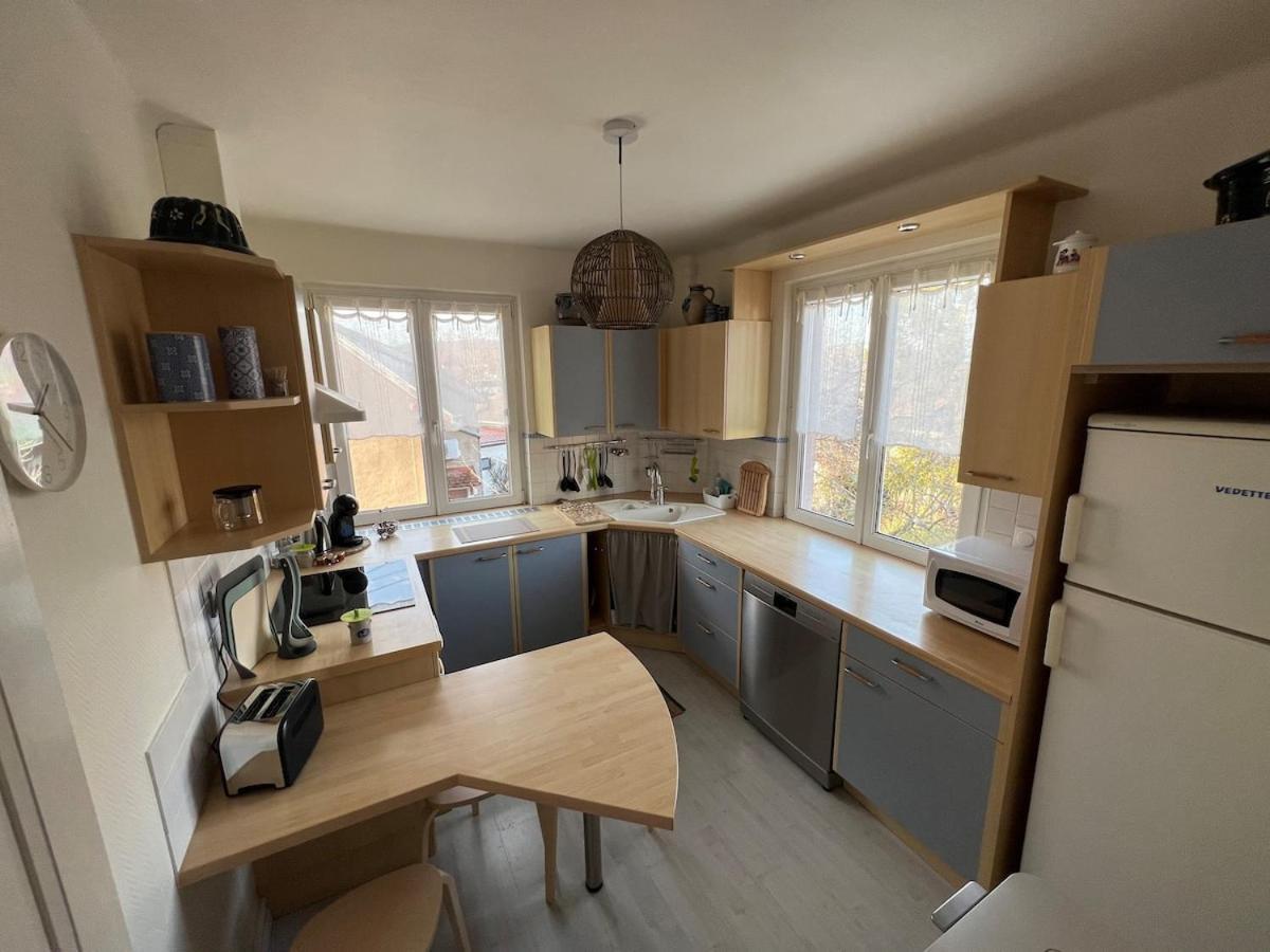 Appartement Chez Fabie Sélestat Dış mekan fotoğraf